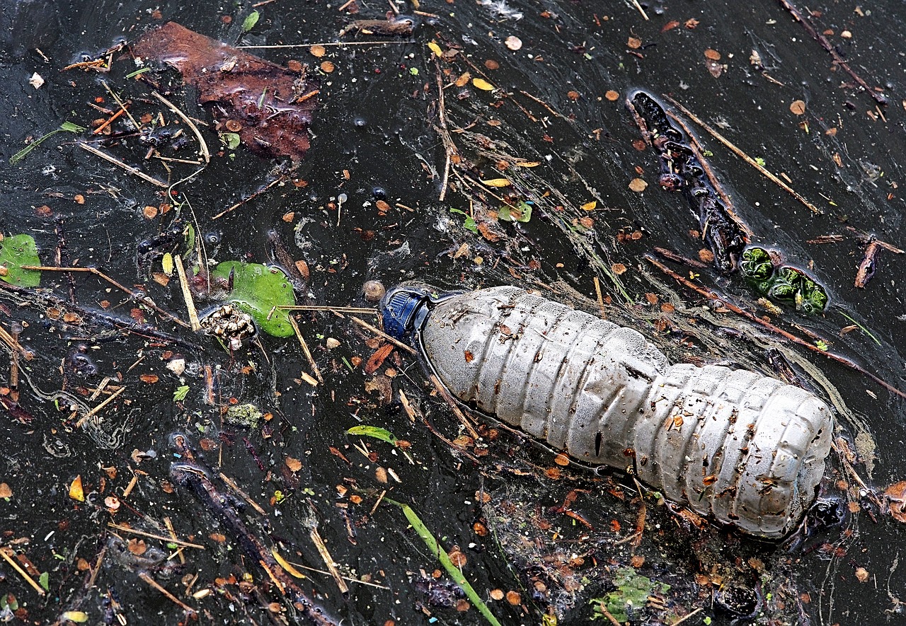 海洋深處的呼喚，魚的吶喊與我們的責(zé)任