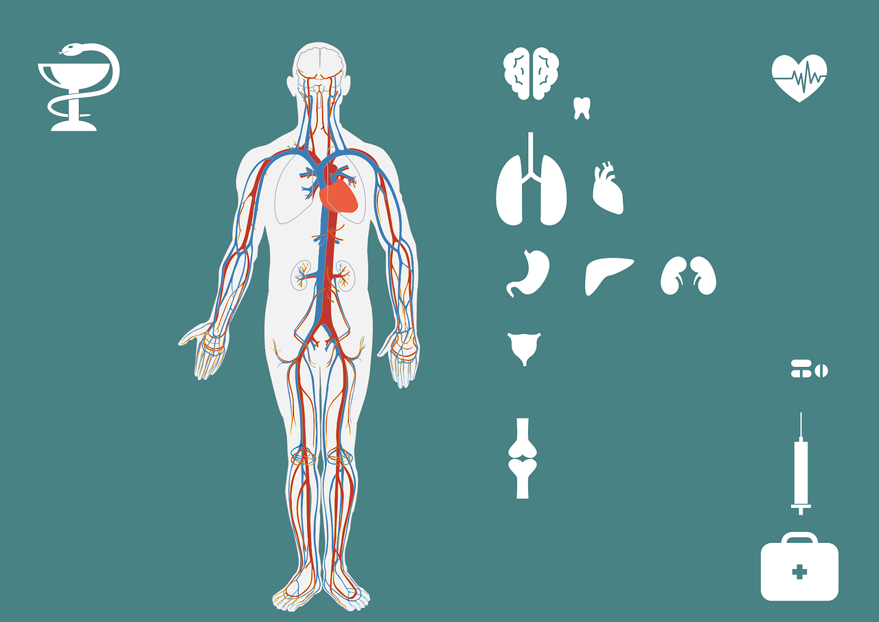 車(chē)禍?zhǔn)鹿剩颉?yīng)對(duì)與反思總結(jié)