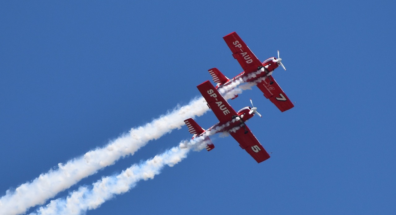 航空領(lǐng)域特殊現(xiàn)象揭秘，飛機(jī)撞機(jī)事件與應(yīng)對策略探討